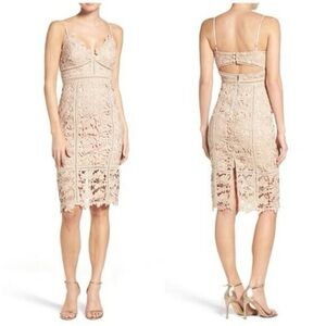 BARDOT Botanica Lace Bodycon Dress Size XS Feminine Wedding Guest Cocktail Dress